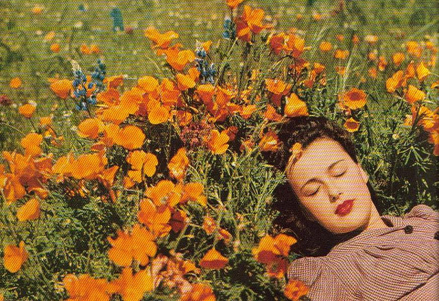 Pretty flowers I'ma lay in you.